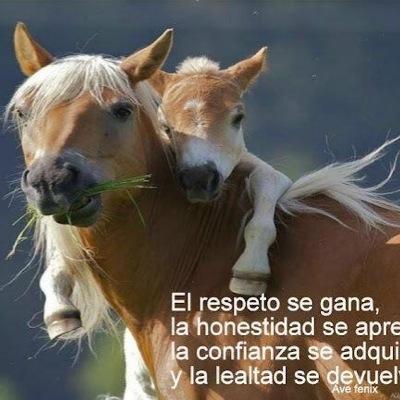 ser sencillo y agradable es lo mejor en la vida