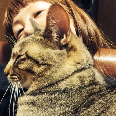 maitipom's profile picture. まいち、まいちまいちまいちだよ！ ！後藤さんで山田さんになって後藤に戻った。人生色々∞ 2016-cat in the skirt名義で音楽やってるよ。