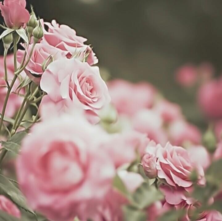 اللهم أكتب لي ما تراه خيرٌ لي