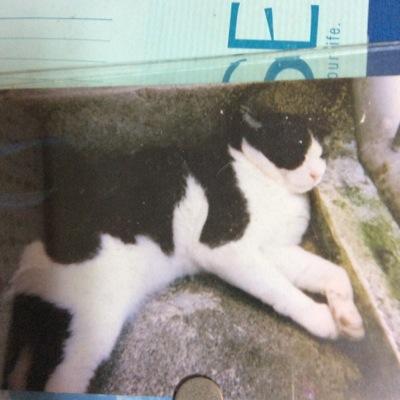 城東小→首里中→行ってない。趣味ロリィタ 沢山弾けてたのが今は関わり無し、、基本無口 、元テニス部、優勝経験有り。皆ヨロシク(._.)