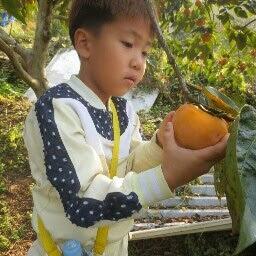 kisslk79's profile picture. 