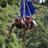 mountainsnbeyon's profile image