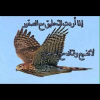Nasser Bouyabis (@n_bouyabes) 's Twitter Profile Photo Nasser Bouyabis (@n_bouyabes) 's Twitter Profile Photo