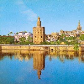 Somos los nietos de los que no pudísteis matar. SEVILLA.