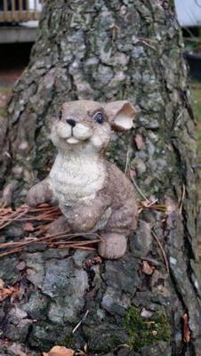 confusedkim's profile picture. Just looking around.