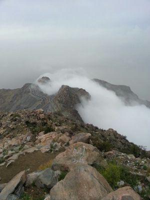 toalae1's profile picture. 