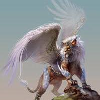 yogesh100bora's profile picture. 