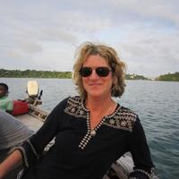 Kate Faughnan (@faughnankate) 's Twitter Profile