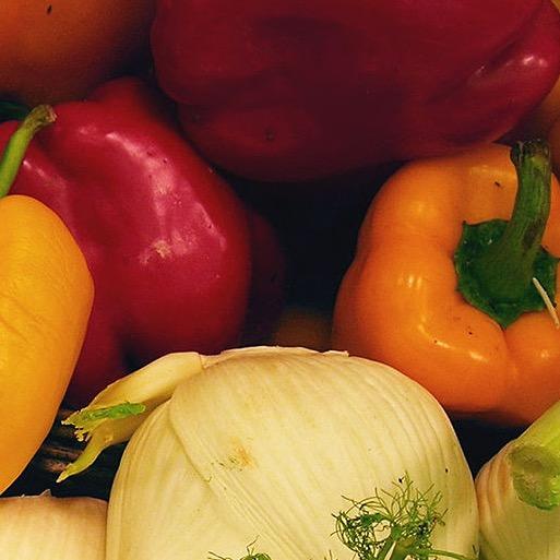 Helping small #local businesses get online! Website #design #development & #digital #marketing for small companies (vegetable box suppliers etc) and charities.