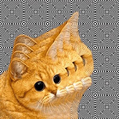 Likes and retweets DO NOT accurately represent my opinion. Sometimes I just like or retweet things to make them easier to find so I can read them later.