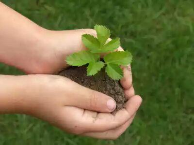 The ultimate goal of farming is not the growing of crops, but the cultivation and perfection of human beings.
