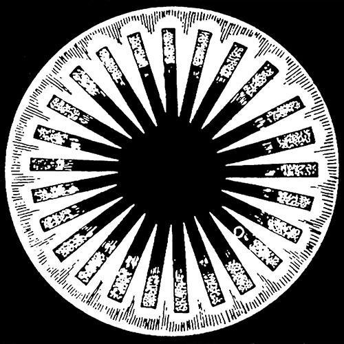 Le Créarc, Centre de Création de Recherche et des Cultures, est une association culturelle et artistique internationale.