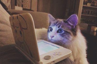 esdularn's profile picture. 