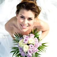 Weddzilla (@weddzilla) 's Twitter Profile