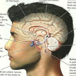 stifin_pku's profile picture. #STIFIn Tes Mesin Kecerdasan Cabang Pekanbaru