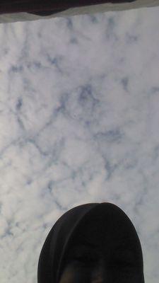 #SelamanyaHarimauMalaya
