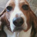 Cheryl Luck - @mcsquirrel77 - Twitter