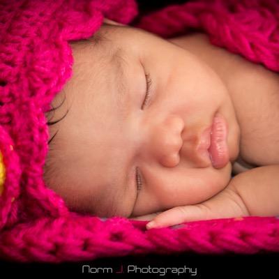 normjphoto's profile picture. I'm a lover of beauty, and I look to find it in all of God's creations. Sometimes, I'm blessed enough to capture what I find and show it to the world.