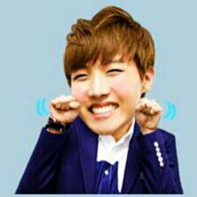 life goal: pregnant to hoseoks children (twins)