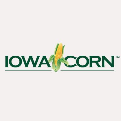 Iowa Corn