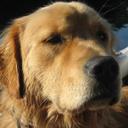 JD Campbell - @campbell_jd - Twitter