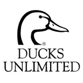 JayDeSoto's profile picture. 