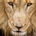 Poseidon740 (@poseidon740) Twitter profile photo