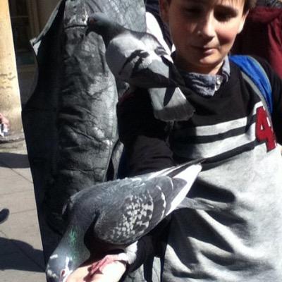 Emil_Ashton's profile picture. ~chicken~ ~youtuber~
~skateboarding~