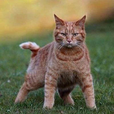 kimseyi ilgilendirmez .