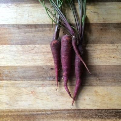 singingriverfrm's profile picture. The Singing River Farm is a small but expanding susatinable farm located 65 miles south of Houston on the San Bernard River.