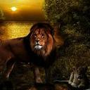 cory rickgauer - @coryrickgauer1 - Twitter