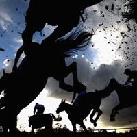 Top Class Tips (@tip_top_tipping) 's Twitter Profile