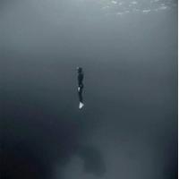 Shahd F.Hamshari (@shahdd_h) 's Twitter Profile