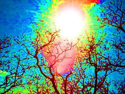 PureEvyil's profile picture. YupYupYup