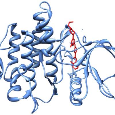 Bosulif's profile picture. Oral Tyrosine Kinase Inhibitor for CML: chronic, accelerated, and blast phases; resistance / intolerance prior Tx.