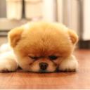 Bella Russo - @bella18393 - Twitter