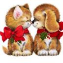 daniel - @daniel_abril23 - Twitter