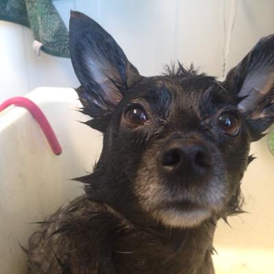 Chrisgio14's profile picture. 