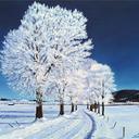 Patricia Rene' - @PatriciaReneT - Twitter