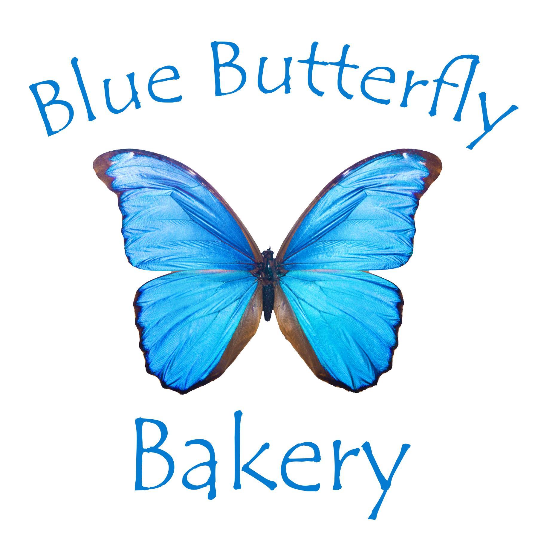 List 96+ Pictures blue butterfly cafe photos Stunning