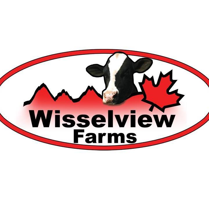 Wisselview's profile picture. 