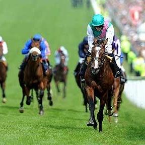 petercollins21's profile picture. Warning I spout a lot of rubbish!!! Lover of Horse Racing...just wish I knew what I was talking about!