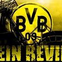 Melissa Taft - @Melissataftbvb - Twitter