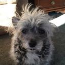 Cindy Ford - @518Ford - Twitter