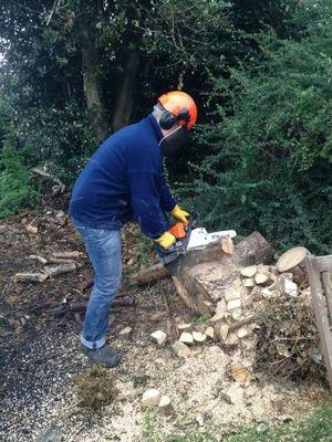 waylandtd's profile picture. Broadcast Systems Engineer and Project Manager