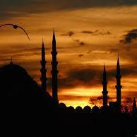 sizofrennnnn's profile picture. 