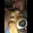 GarrettWasHere1's profile image