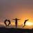OTS_Abroad's profile image