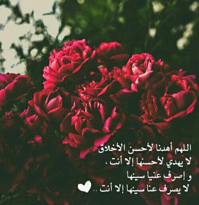 ‏‏‏‏‏‏‏‏‏‏‏‏خطابه للخضيرين الجادين فقط الطلبات بالمفضله بالرياض فقط