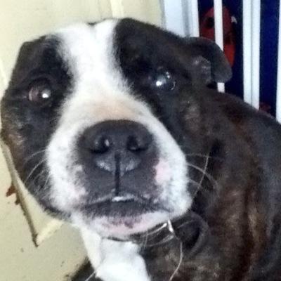 smisabelle's profile picture. 17 years old, volunteers at Aylesbury Vale Youth For Christ. snapchat: paige-illing instagram: PAIGEILLING